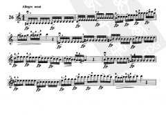 开赛小提琴练习曲乐谱下载 第26首
